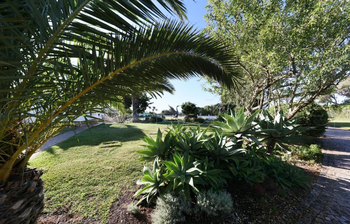 Casa Beachcomber Le Jardin Des Arts Lagos Eksteriør billede